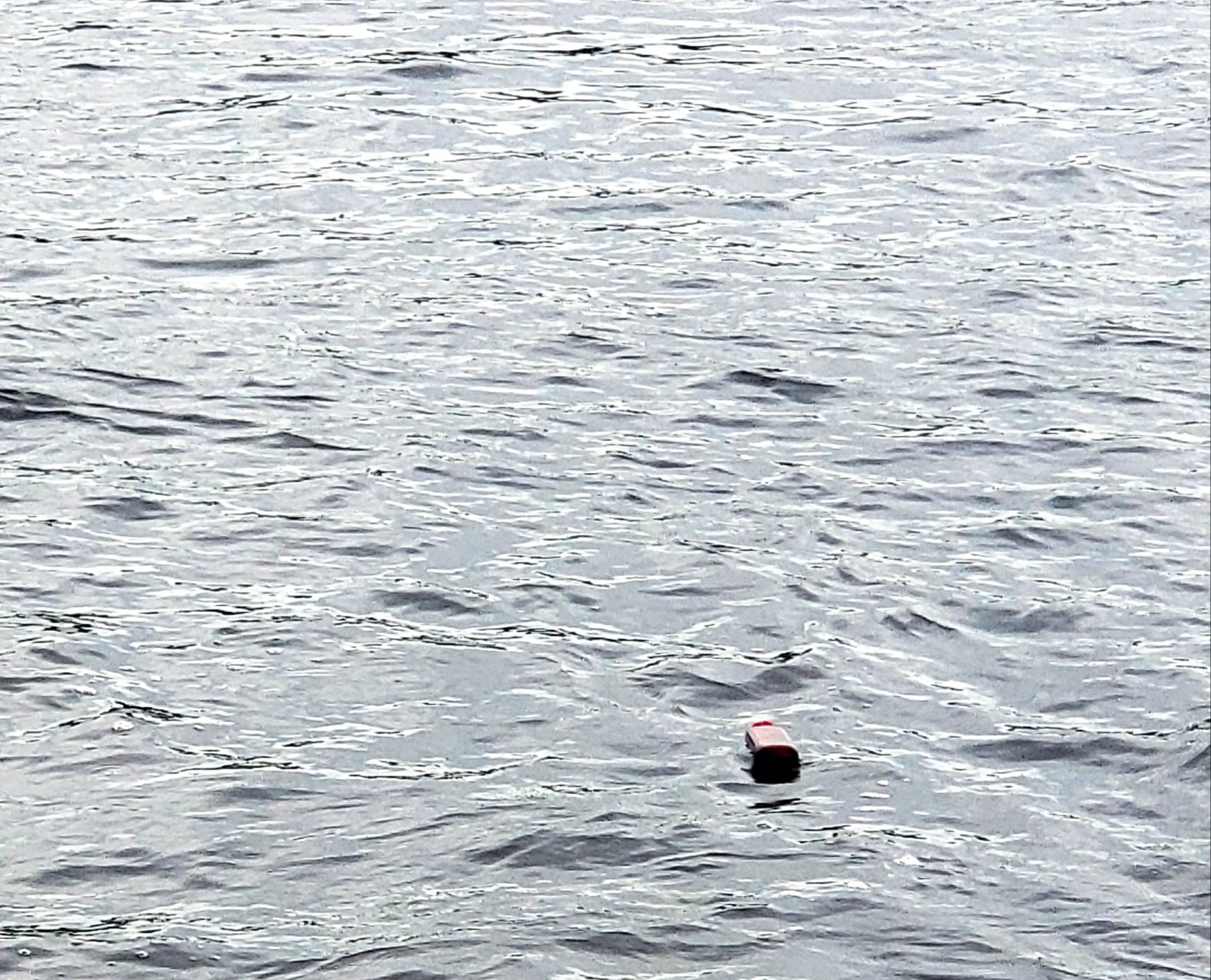 A sealed Driftworks bottle floating in the Penobscot River